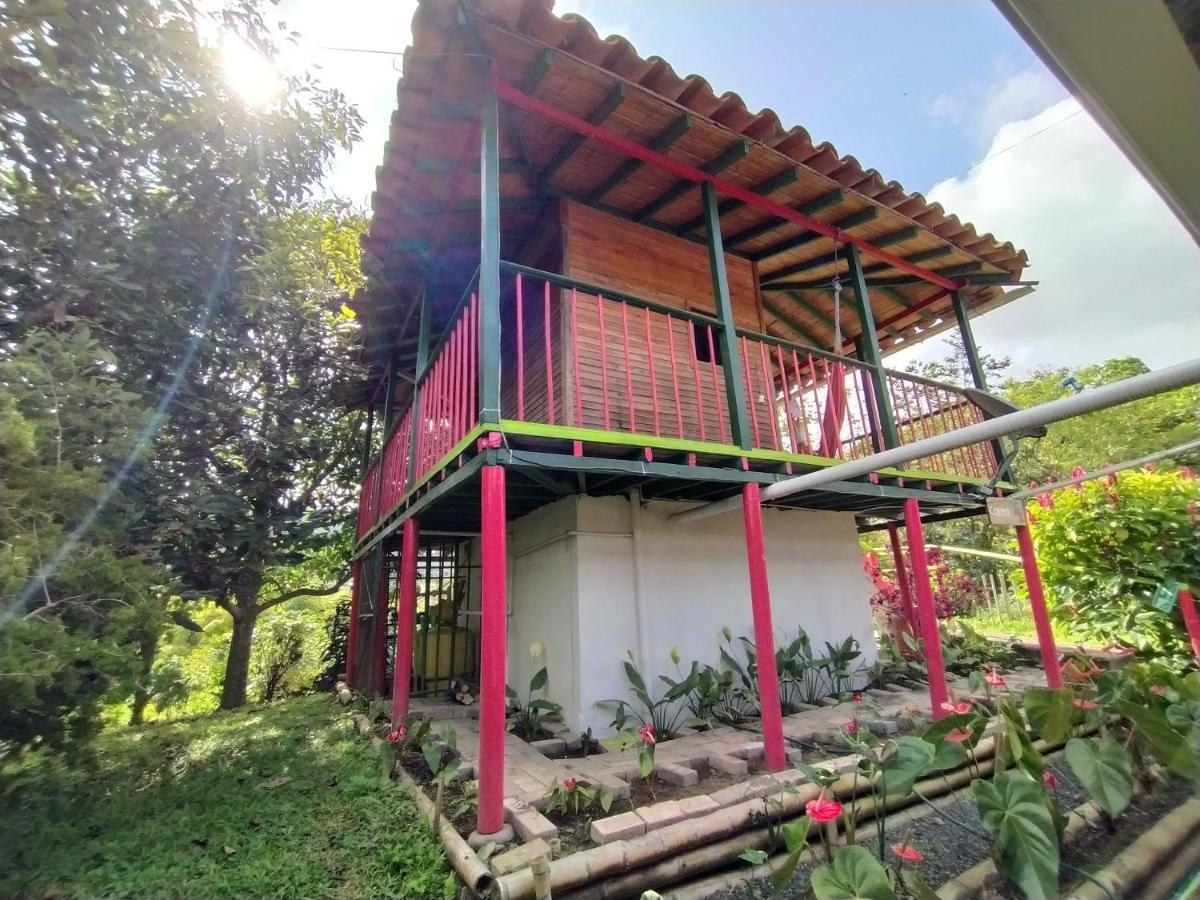 La Acuarela, Posada De La Monita Pereira Ngoại thất bức ảnh