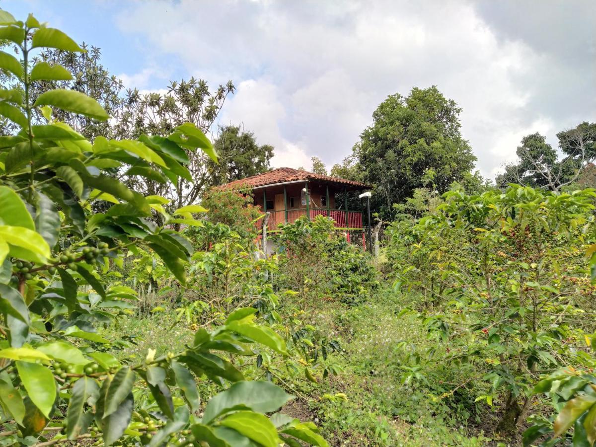 La Acuarela, Posada De La Monita Pereira Ngoại thất bức ảnh