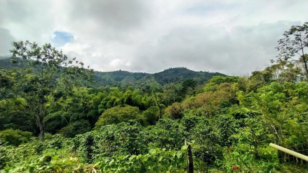 La Acuarela, Posada De La Monita Pereira Ngoại thất bức ảnh