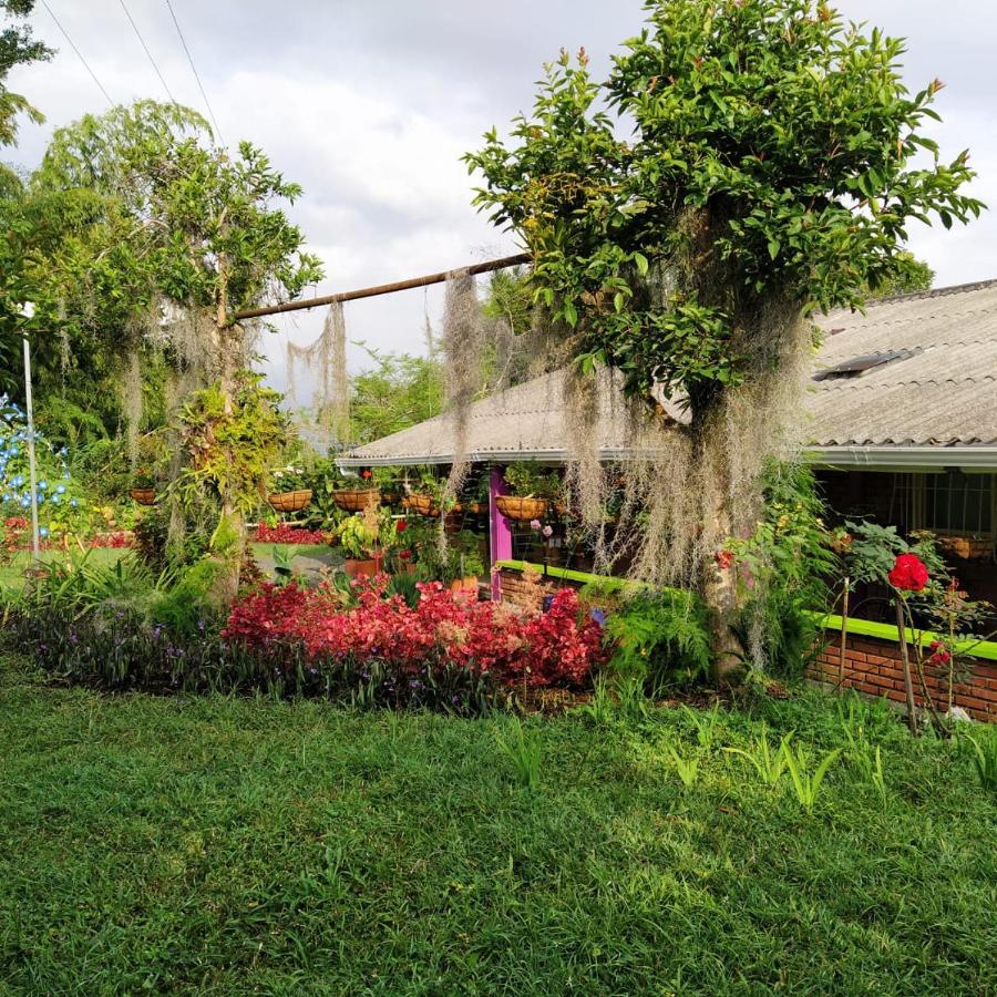 La Acuarela, Posada De La Monita Pereira Ngoại thất bức ảnh